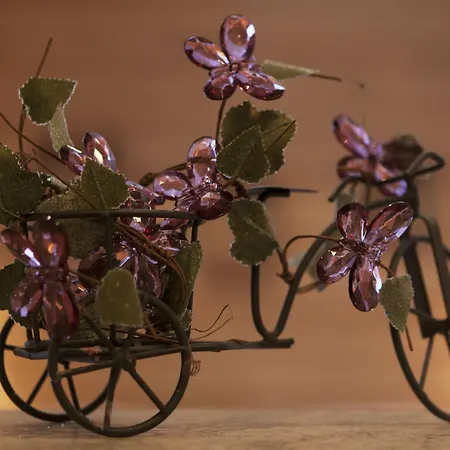 Vuokatin Aateli * 沃卡蒂