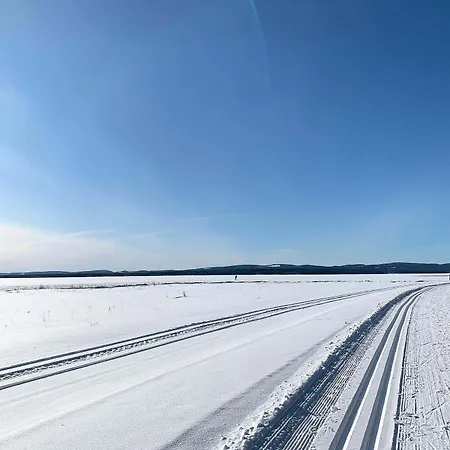 Vuokatin Aateli *