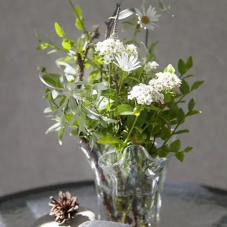 Vuokatin Aateli 沃卡蒂