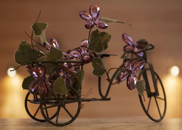 Vuokatin Aateli * Vuokatti