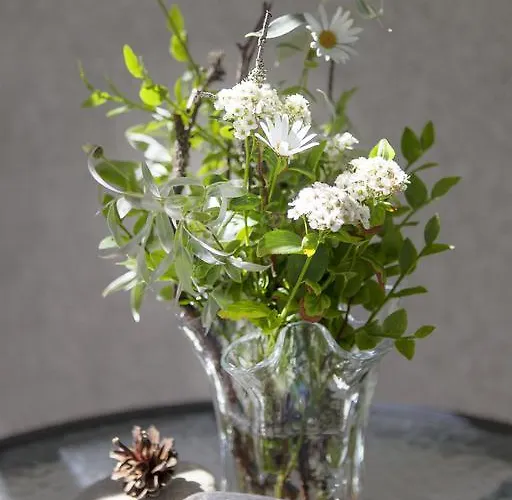 Vuokatin Aateli ווקאטי